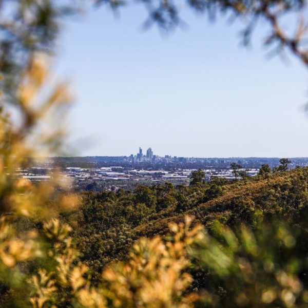 National Parks Around Perth: Explore Western Australia’s Natural Wonders